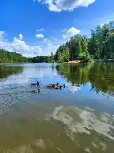 Красный Бор - 20