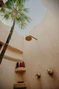 Papaya Playa Project - 18