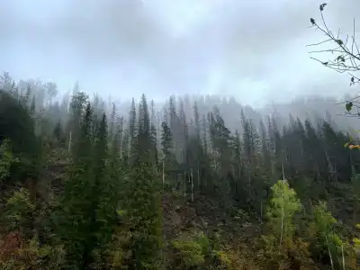 Культамак - 25