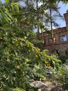 Усадьба Мещерская - 63