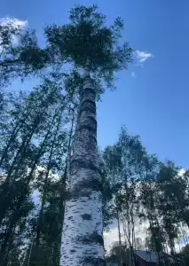 Дом с Душой - 21