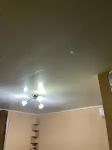 Фиолентовский - 23