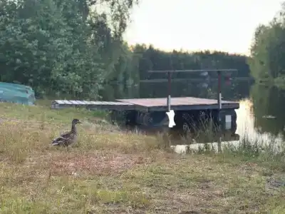 Карельский хутор - 21