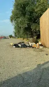 Семейный парк Озеро - 33