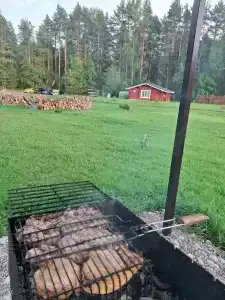 Карельская рябина - 31