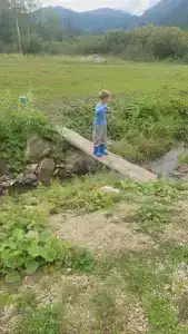 Сказка - 40
