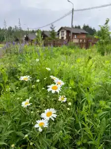 Покровские Ворота - 13