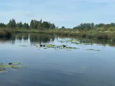 Сад имени Александра Невского - 4