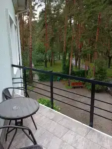 Сосны плюс - 4