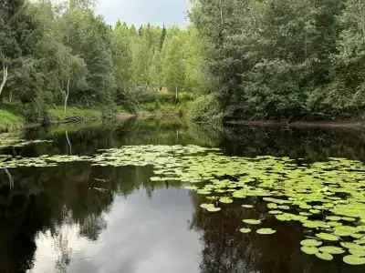 Эко-отель Someroya - 18