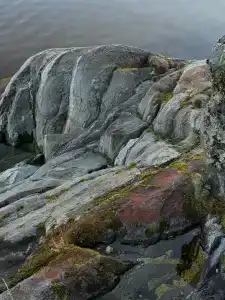 Рузя Карелия - 54