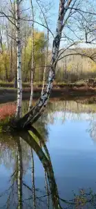 Дружба - 44