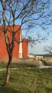 Сабай - 36
