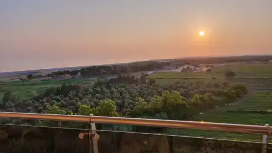 Sunmelia Beach Resort & Spa-All Inclusive - 41