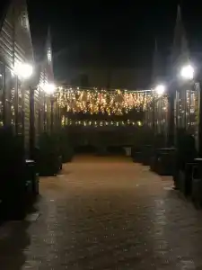 Мик - 37