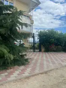 Новелла - 25