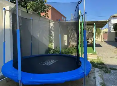Инжир - 46