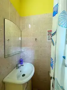 Вистерия - 18
