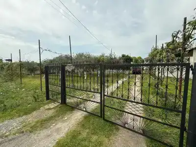 Мечта - 1