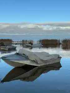 Гавань - 5