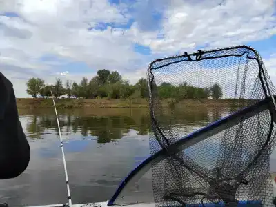 Золотой плав - 30