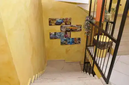 Latino - 39
