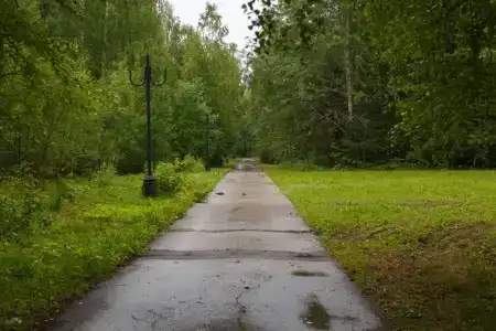 Березка - 8