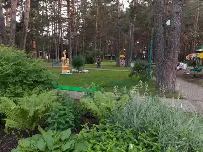 Мечетлинский - 8