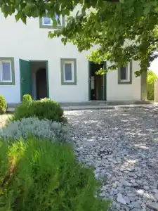 Verde - 15