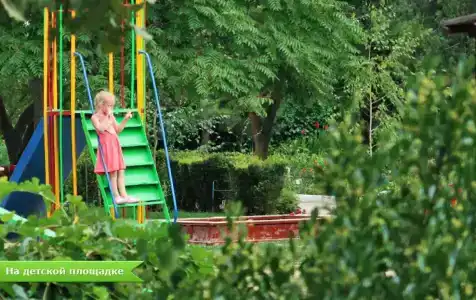 Лилия - 23