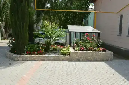 Жасмин - 41