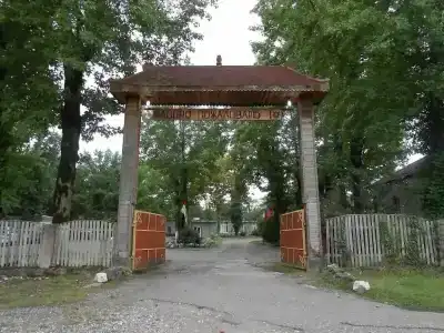 Тамыш - 31