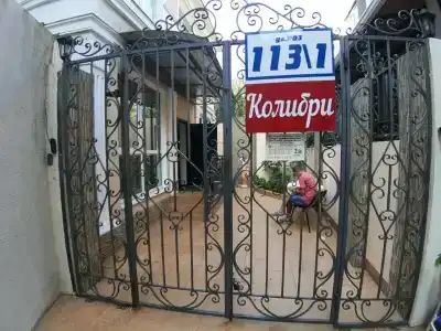 Колибри - 0