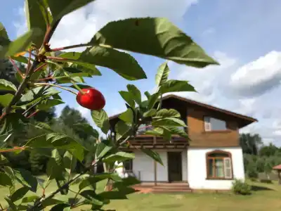 Боровое - 6