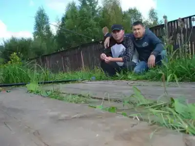 Белый лотос - 12