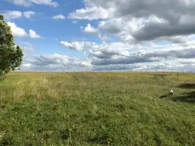Озерский пруд - 12