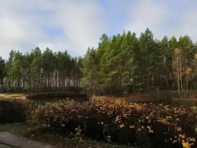 Серебряные ключи - 31