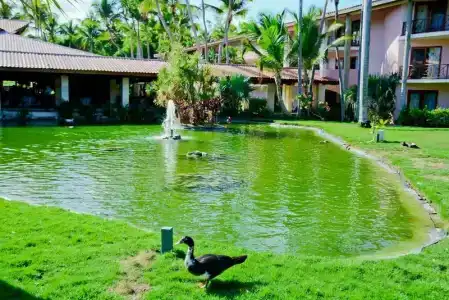 Natura Park Beach & Spa Eco - All Inclusive - 6