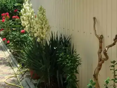 Морская, 51 - 13