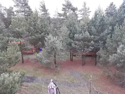 Избушка на опушке - 11