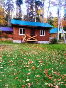Лесной дом - 50