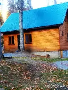 Лесной дом - 36