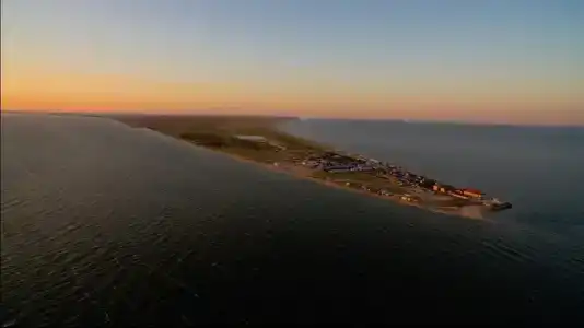 Серфприют - 0