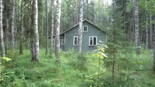 Лесной Родник - 6