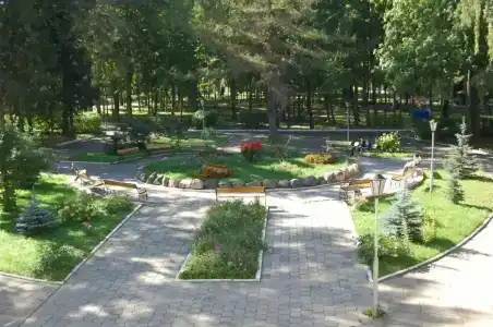 Борок - 1