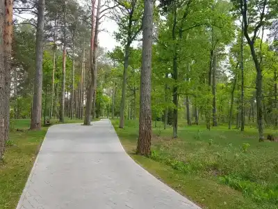 Березинская Дубрава - 4