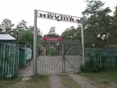 Ивушка - 2