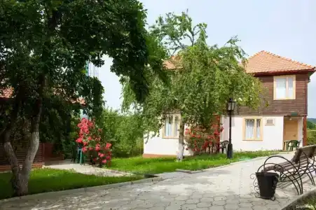 Дорожник - 25