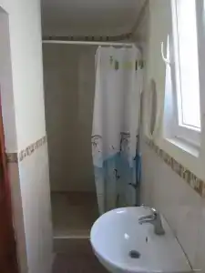 София - 31