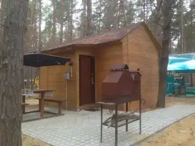 Чайка - 20